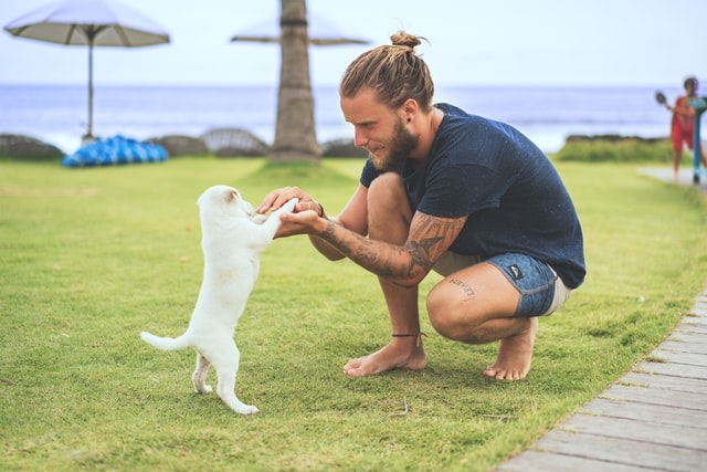 Dog Care