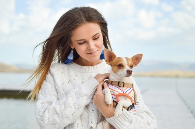 Dog-Care Dog-Care