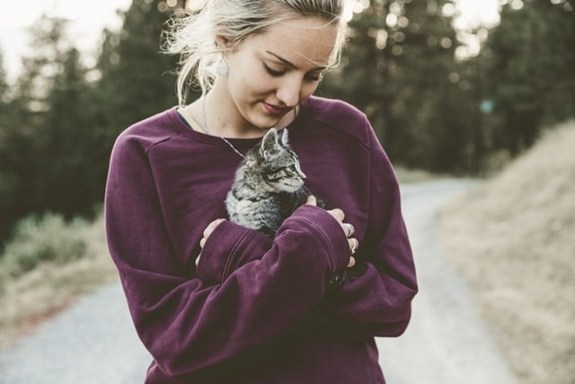 Cat Care